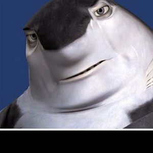 Meet your Posher, Damion